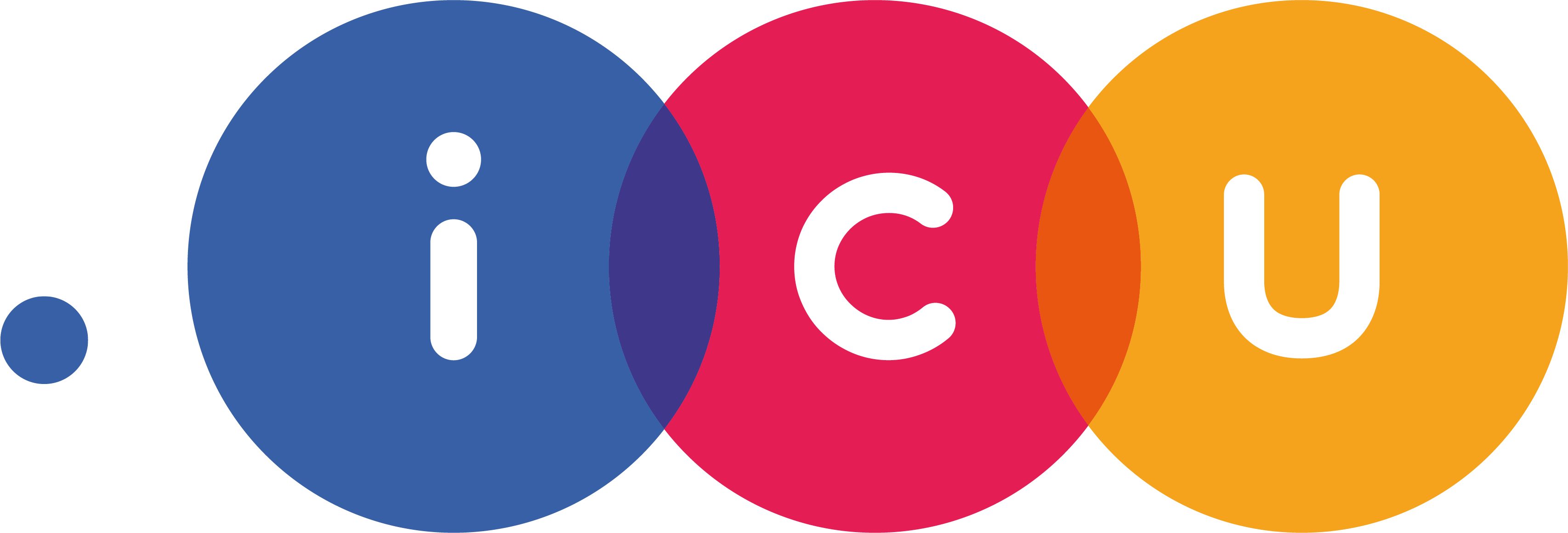 icu domain name